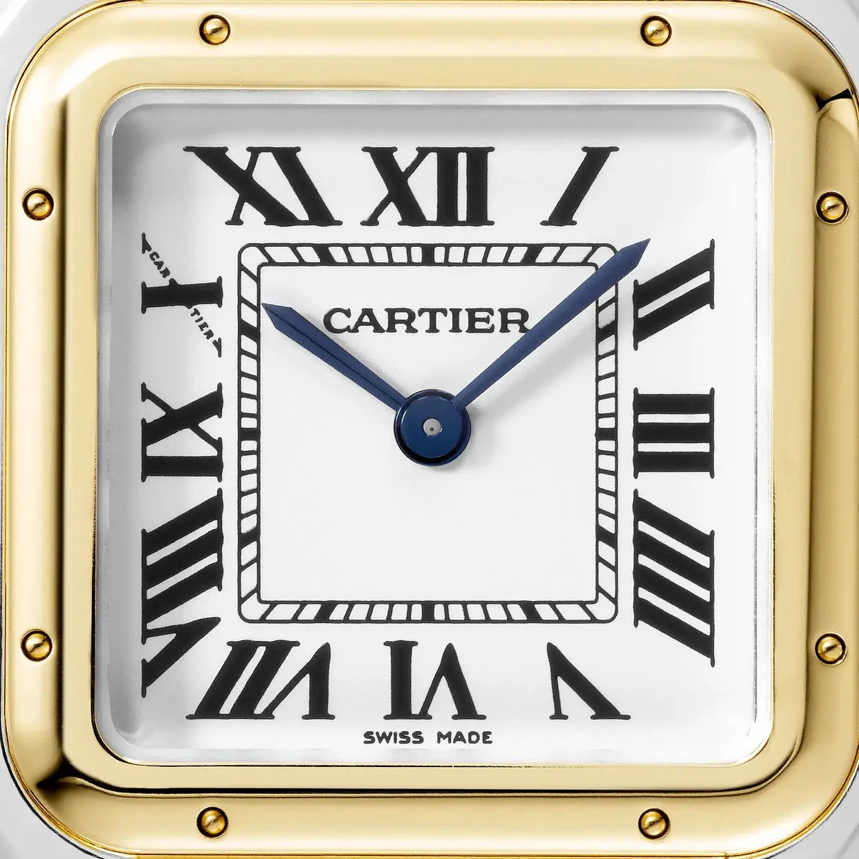 Cartier watch | Women&#39;s Watch 29mm Panthère de Cartier W2PN0007 Gold 2 Tones