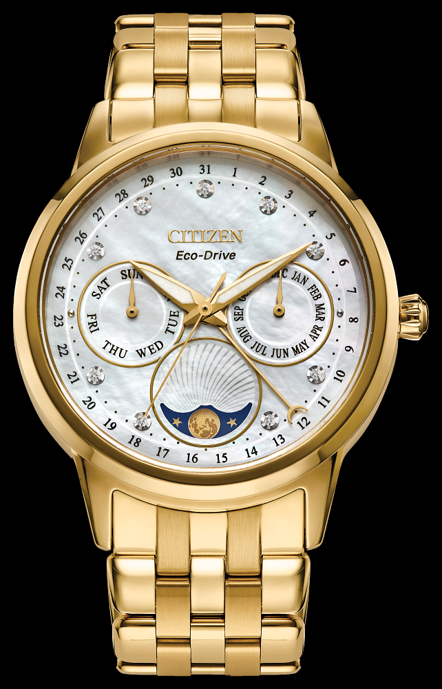 Montre Citizen | Montre Homme Citizen Calendrier FD0002-57D Or Jaune