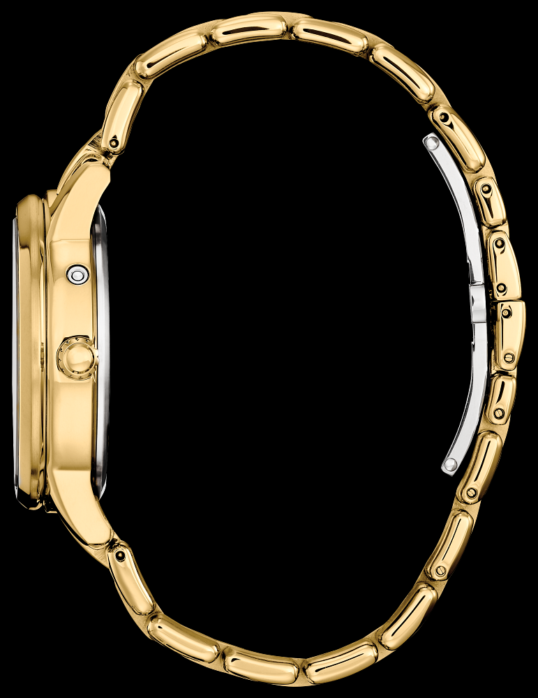 Montre Citizen | Montre Homme Citizen Calendrier FD0002-57D Or Jaune