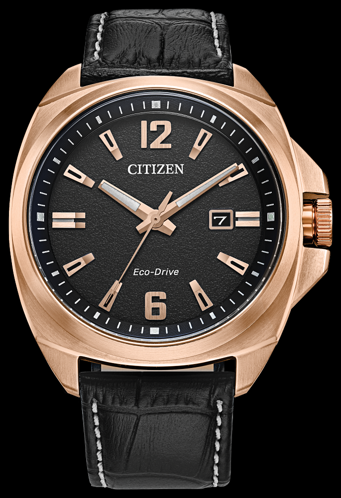 Montre Citizen | Montre Homme Citizen Endicott AW1723-02E Or Rose