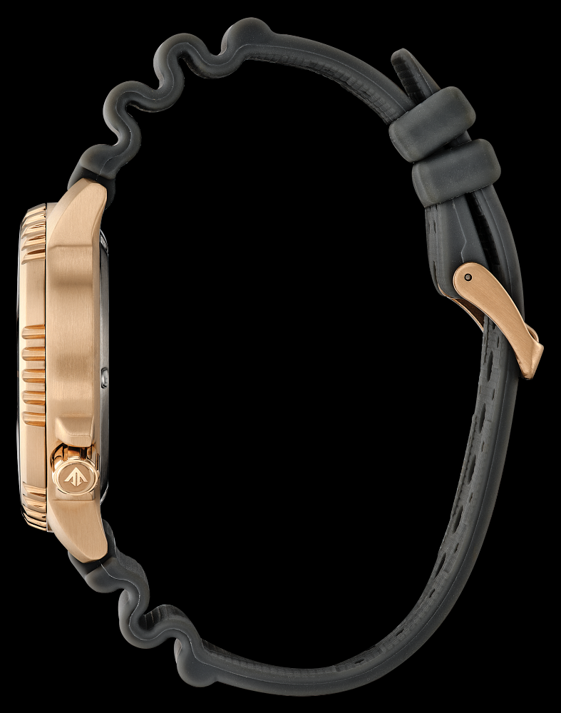 Montre Citizen | Montre Homme Citizen Promaster Dive BN0163-00H Or Rose