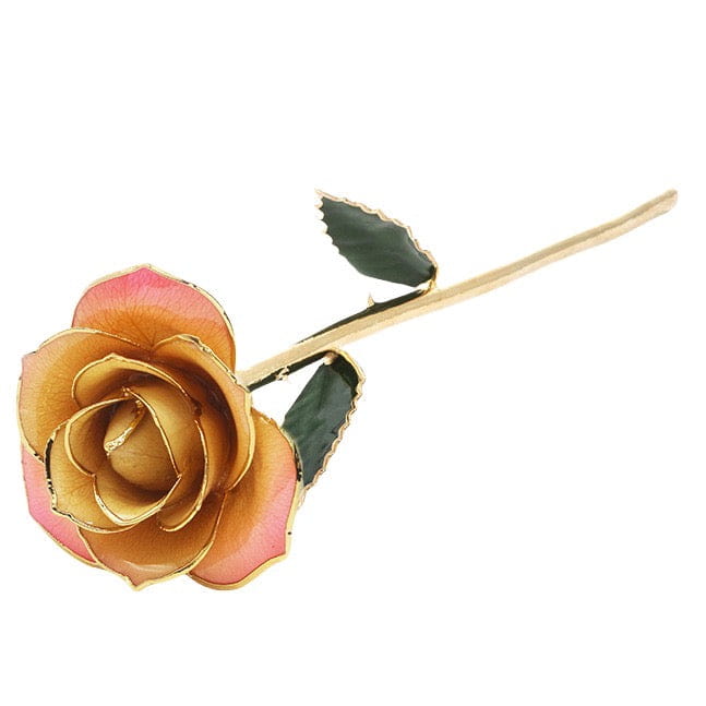 Bijoux Medusa | Article Divers Forever Golden Rose 24K White