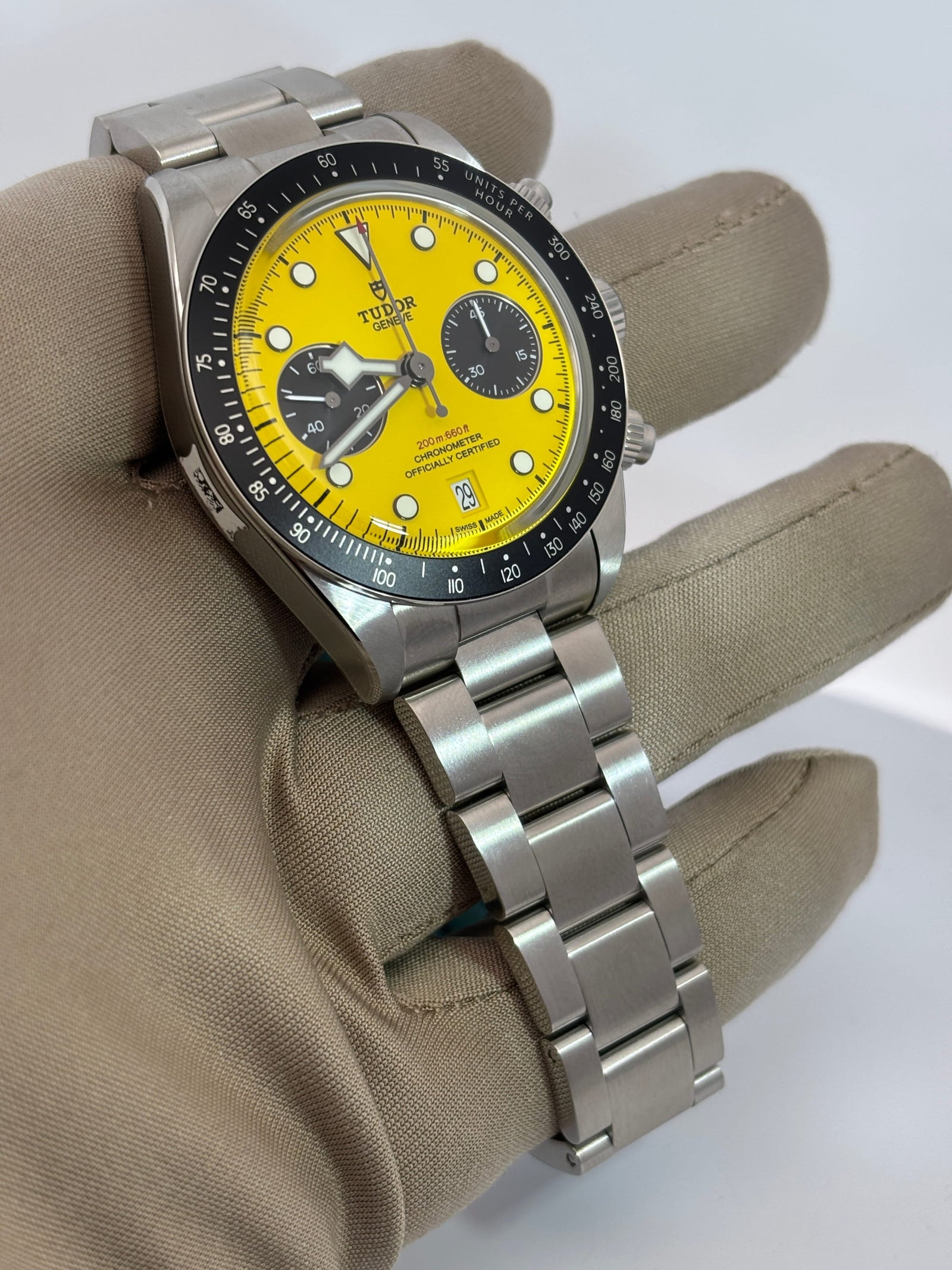 Tudor Bumblebee